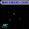 IRAS F16142+2556