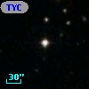 TYC 2041-1595-1