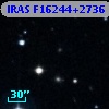 IRAS F16244+2736