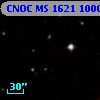 CNOC MS 1621  100064