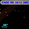 CNOC MS 1621  300725