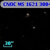 CNOC MS 1621  300432