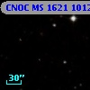 CNOC MS 1621  101265