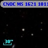 CNOC MS 1621  101154