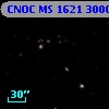 CNOC MS 1621  300050
