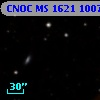 CNOC MS 1621  100788