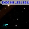 CNOC MS 1621  301135