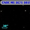 CNOC MS 1621  101934