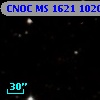 CNOC MS 1621  102042