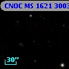 CNOC MS 1621  300302