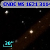 CNOC MS 1621  311418