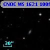 CNOC MS 1621  100820