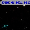 CNOC MS 1621  101236