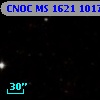 CNOC MS 1621  101740