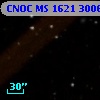 CNOC MS 1621  300636