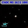 CNOC MS 1621  100154
