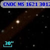 CNOC MS 1621  301291