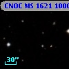 CNOC MS 1621  100045