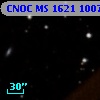 CNOC MS 1621  100735