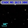 CNOC MS 1621  300393