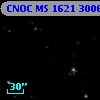 CNOC MS 1621  300633