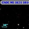 CNOC MS 1621  101433