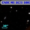 CNOC MS 1621  100796