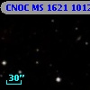 CNOC MS 1621  101278