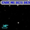 CNOC MS 1621  102082