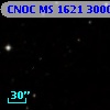 CNOC MS 1621  300035
