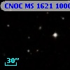 CNOC MS 1621  100095