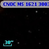 CNOC MS 1621  300306