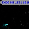 CNOC MS 1621  101695