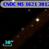 CNOC MS 1621  301275
