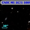 CNOC MS 1621  100825