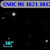 CNOC MS 1621  101376