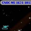 CNOC MS 1621  101326