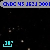 CNOC MS 1621  300162