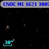 CNOC MS 1621  300556
