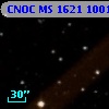 CNOC MS 1621  100152