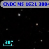 CNOC MS 1621  300466