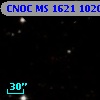 CNOC MS 1621  102033
