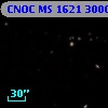 CNOC MS 1621  300043