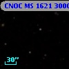 CNOC MS 1621  300064