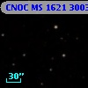 CNOC MS 1621  300361