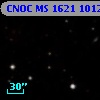 CNOC MS 1621  101239