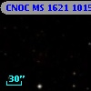 CNOC MS 1621  101543