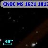CNOC MS 1621  101238