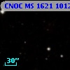 CNOC MS 1621  101247