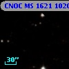 CNOC MS 1621  102040